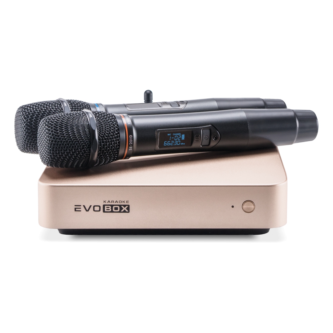 EVOBOX Classic караоке-система для дома в Грязях