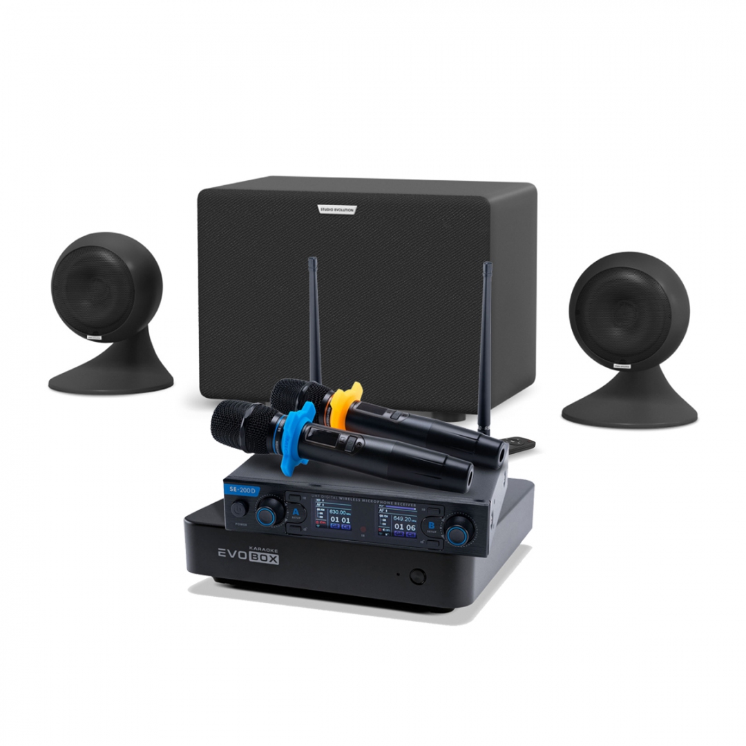 караоке-комплект EVOBOX + EvoSound Sphere 2.1 в Грязях