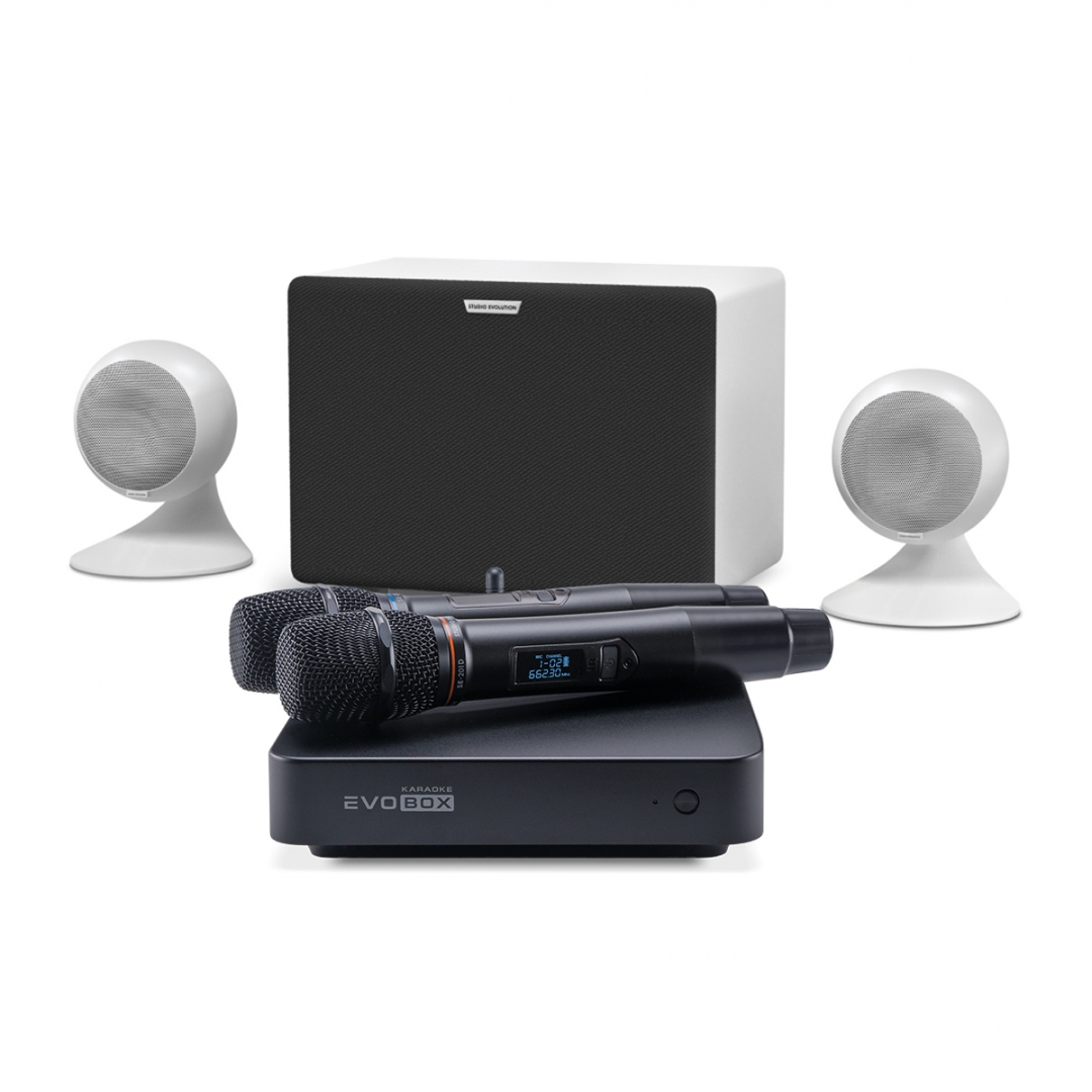 караоке-комплект EVOBOX Classic + EvoSound Sphere 2.1 в Грязях