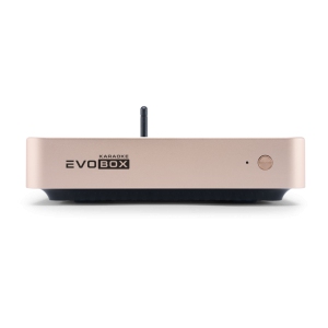 EVOBOX Classic караоке-система для дома в Грязях