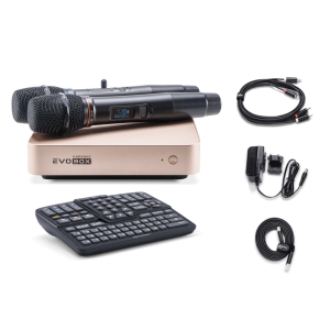 EVOBOX Classic караоке-система для дома в Грязях