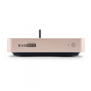 EVOBOX Plus караоке-система для дома в Грязях