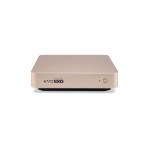 EVOBOX с микрофонами в Грязях